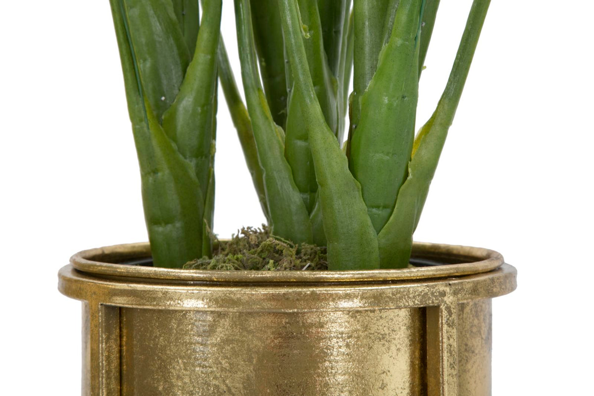 Blumenständer 2er Set Gold 62 cm – Pflanzenständer