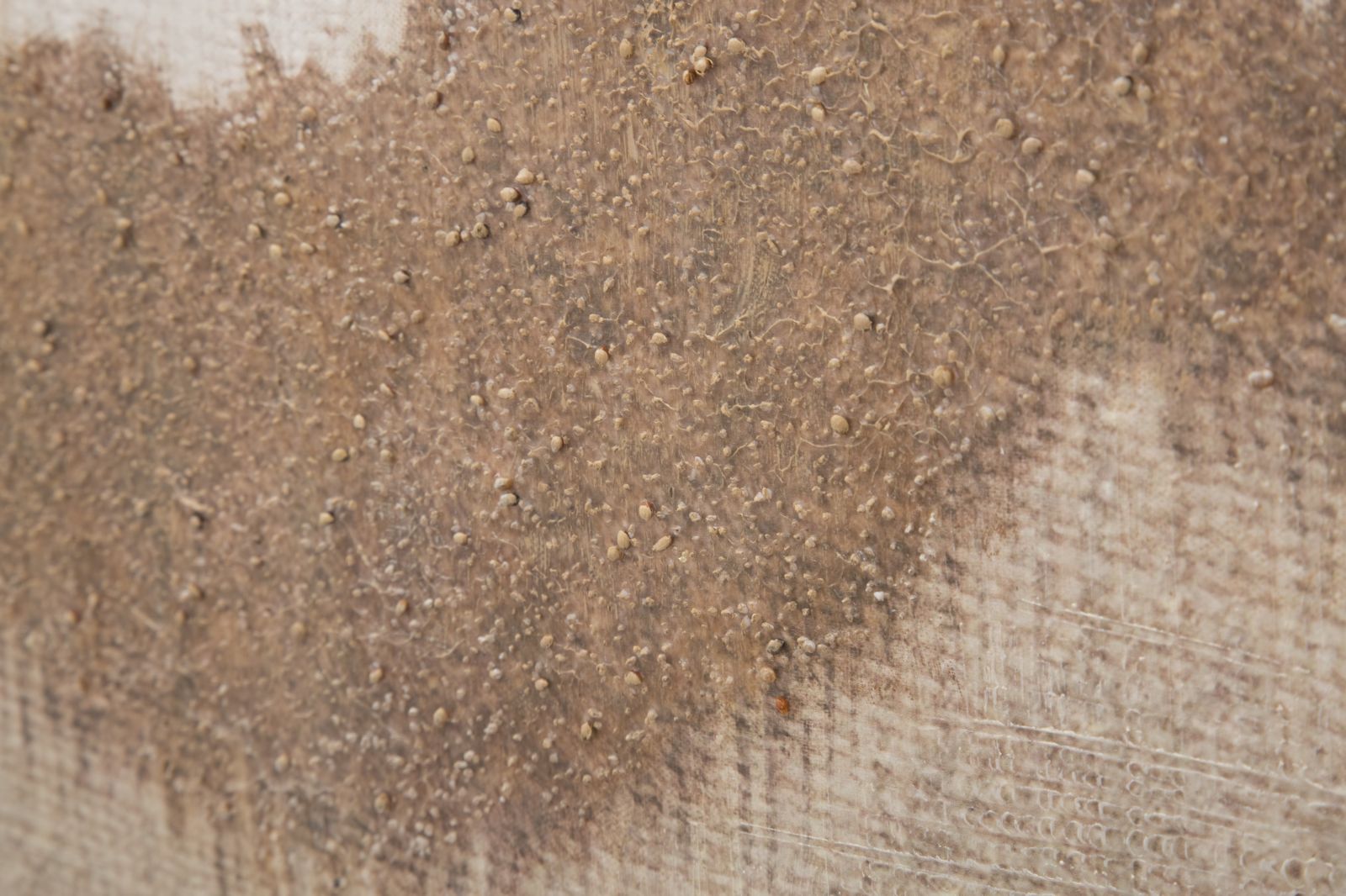 Wandbild Browny Berge 100 cm – Leinwandbild Deko