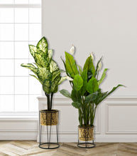 Blumenständer Leavy Gold Schwarz 2er Set – Pflanzenständer Deko