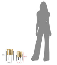 Blumenständer Glissy Gold Schwarz 2er Set – Pflanzenständer Deko