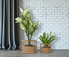 Blumenständer Panama Rattan Braun 2er Set – Pflanzenständer Deko
