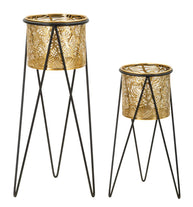 Blumenständer Drak Gold Schwarz 2er Set – Pflanzenständer Deko