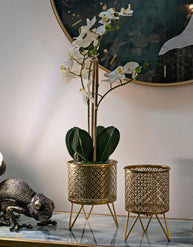 Blumenständer Ceci Gold 2er Set Klein – Pflanzenständer Deko