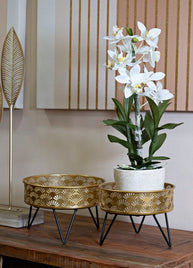 Blumenständer Zanny Gold Schwarz 2er Set – Pflanzenständer Deko