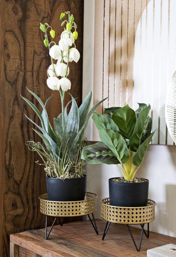 Blumenständer Bossy Gold Schwarz 2er Set – Pflanzenständer Deko
