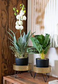 Blumenständer Bossy Gold Schwarz 2er Set – Pflanzenständer Deko