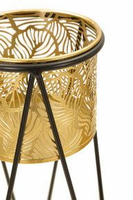 Blumenständer Drak Gold Schwarz 2er Set – Pflanzenständer Deko