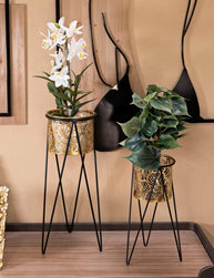 Blumenständer Drak Gold Schwarz 2er Set – Pflanzenständer Deko