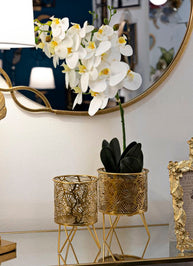 Blumenständer Naty Gold 2er Set Klein – Pflanzenständer Deko
