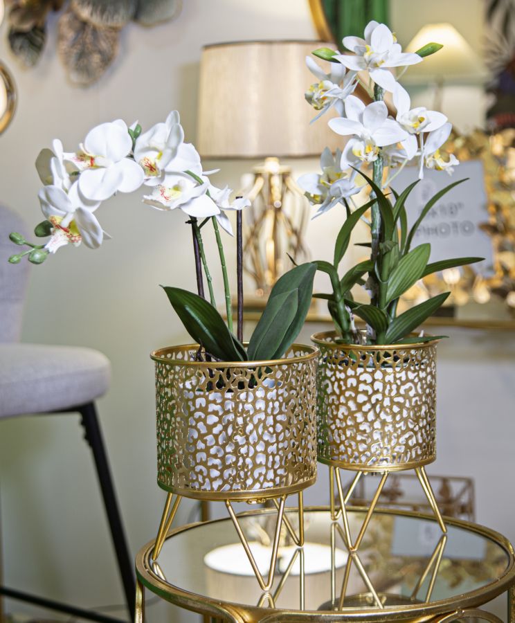 Blumenständer Piny Gold 2er Set Klein – Pflanzenständer Deko
