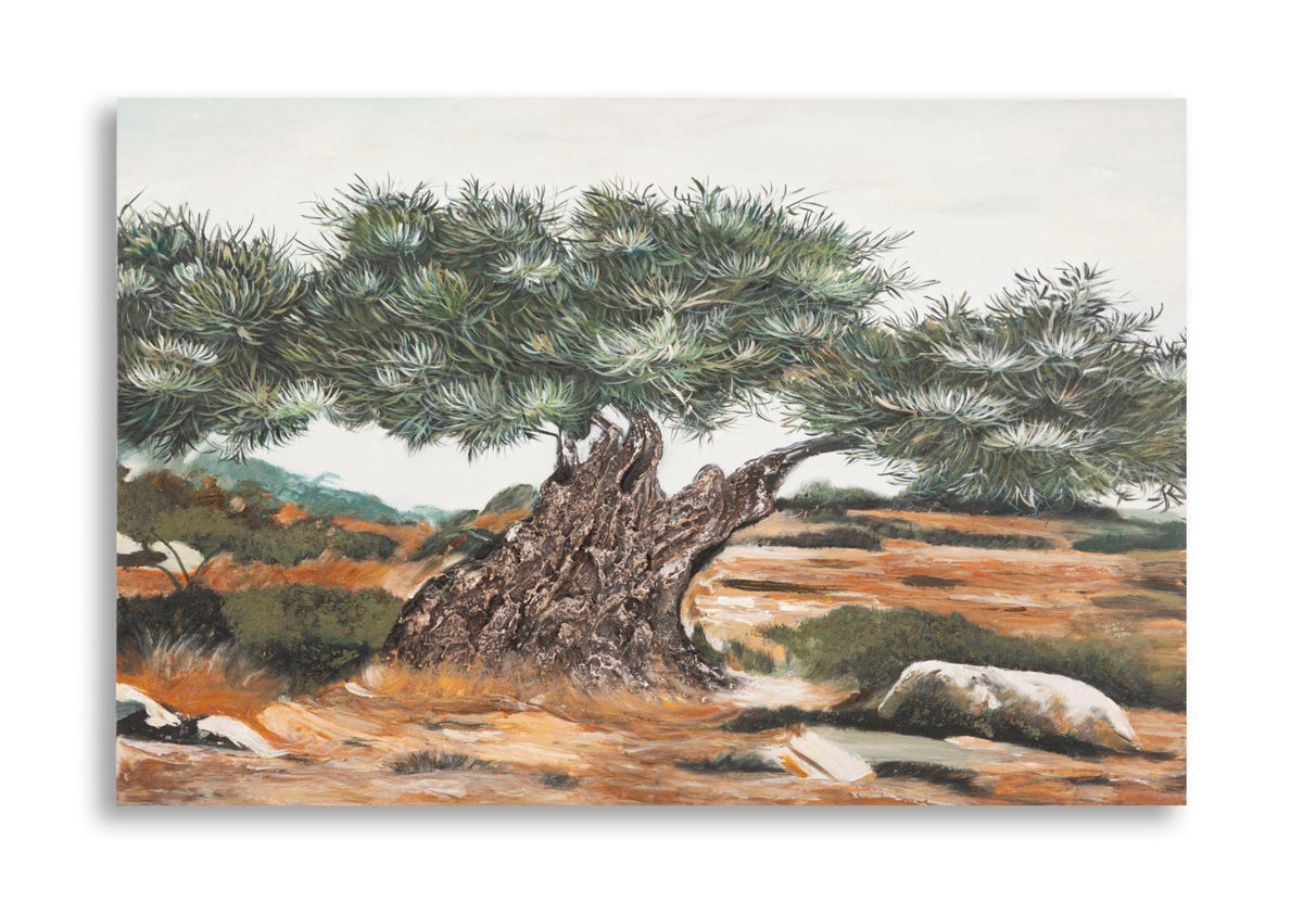 Wandbild Oliven 80 cm – Leinwandbild Deko