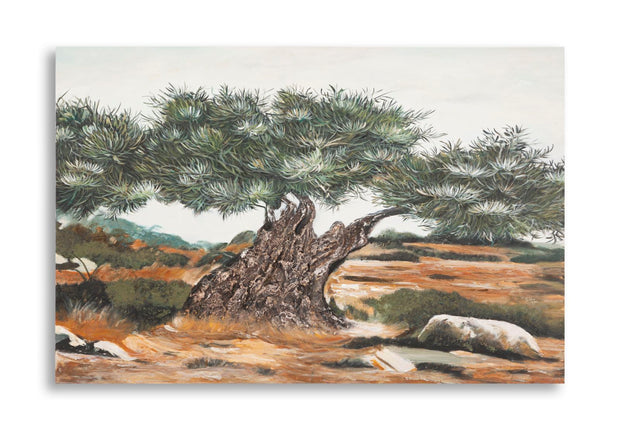 Wandbild Oliven 80 cm – Leinwandbild Deko