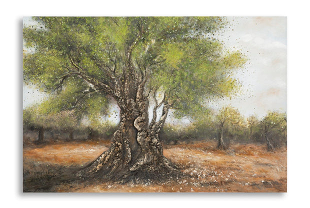 Wandbild Oliven Baum 80 cm – Leinwandbild Deko