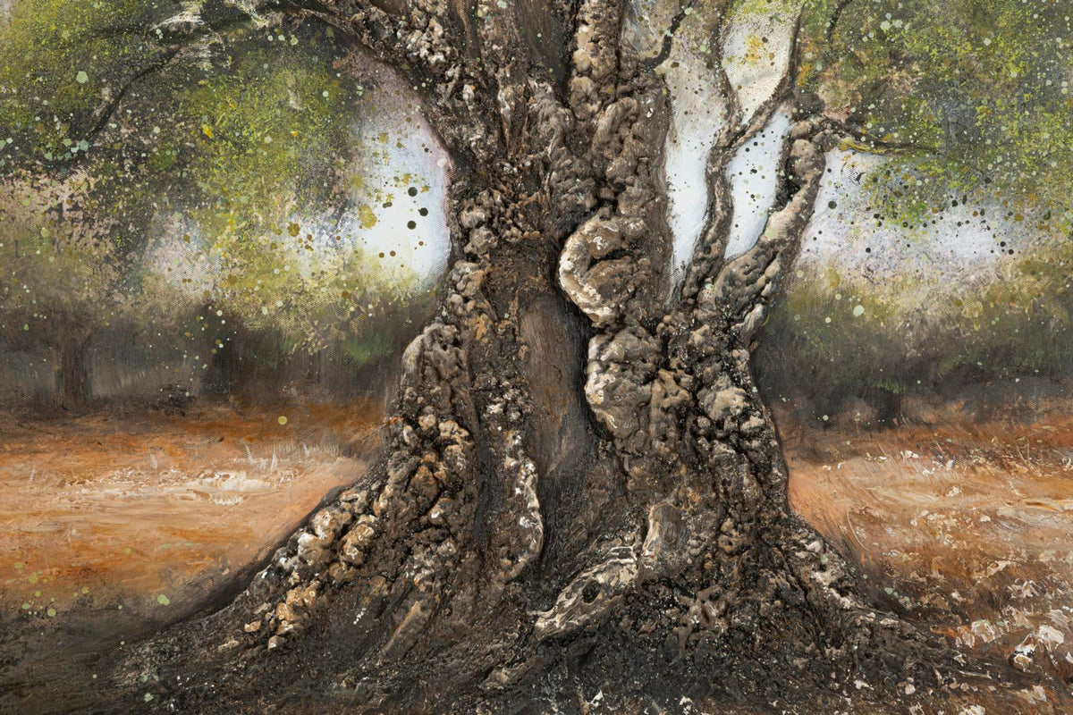 Wandbild Oliven Baum 80 cm – Leinwandbild Deko