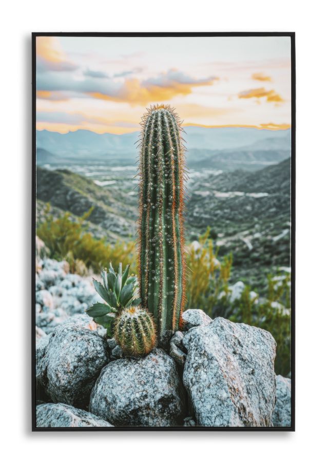 Wandbild Kaktus 90 cm – Leinwandbild Deko