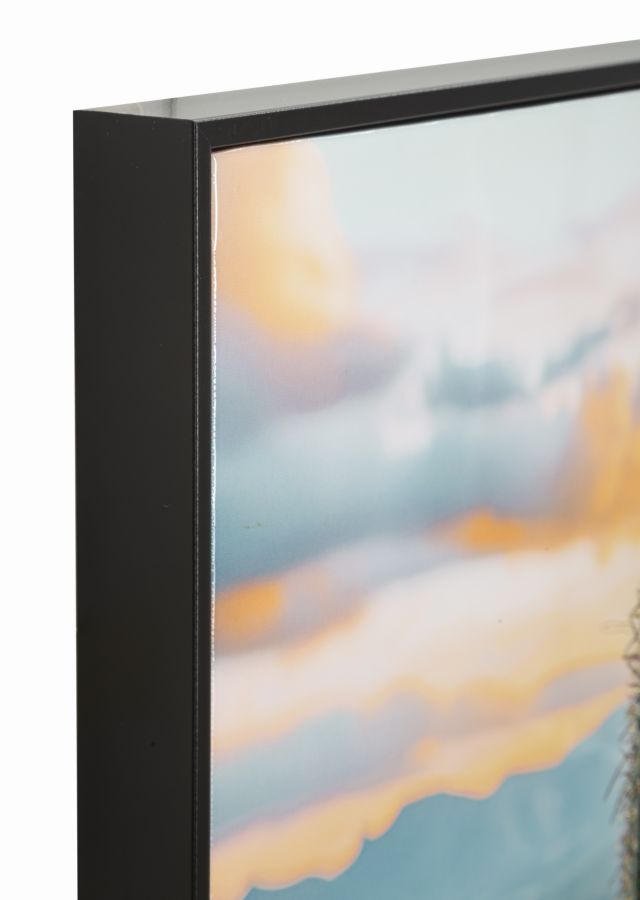 Wandbild Kaktus 90 cm – Leinwandbild Deko
