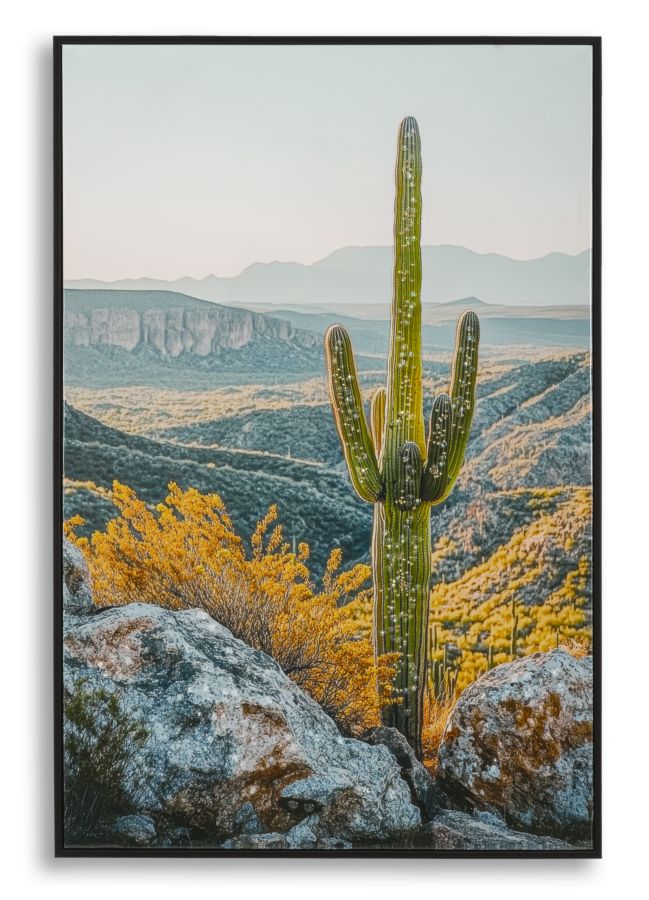 Wandbild Kaktus Wüste 90 cm – Leinwandbild Deko