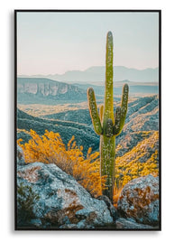 Wandbild Kaktus Wüste 90 cm – Leinwandbild Deko