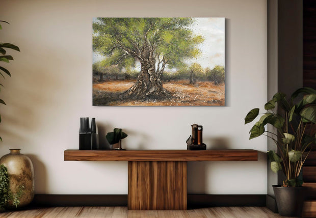Wandbild Oliven Baum 80 cm – Leinwandbild Deko