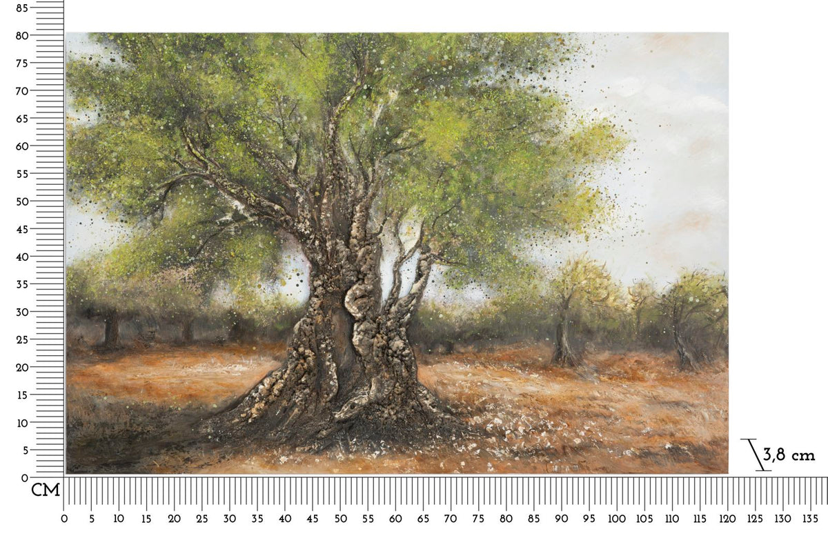 Wandbild Oliven Baum 80 cm – Leinwandbild Deko