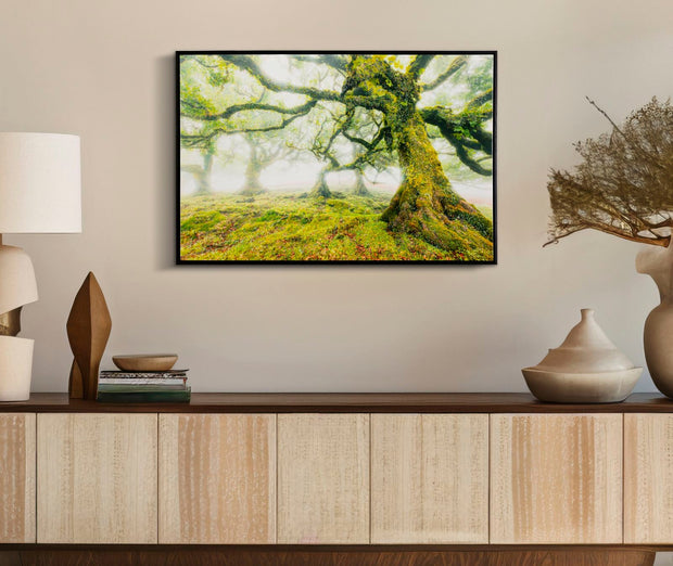 Wandbild Wald 60 cm – Leinwandbild Deko