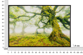 Wandbild Wald 60 cm – Leinwandbild Deko