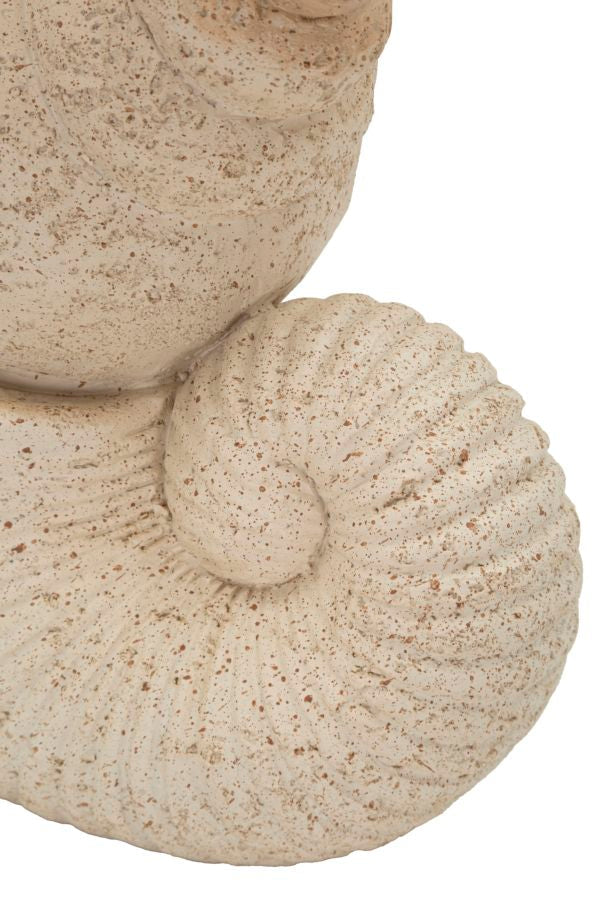 Muschel Deko Sand – Maritime Deko
