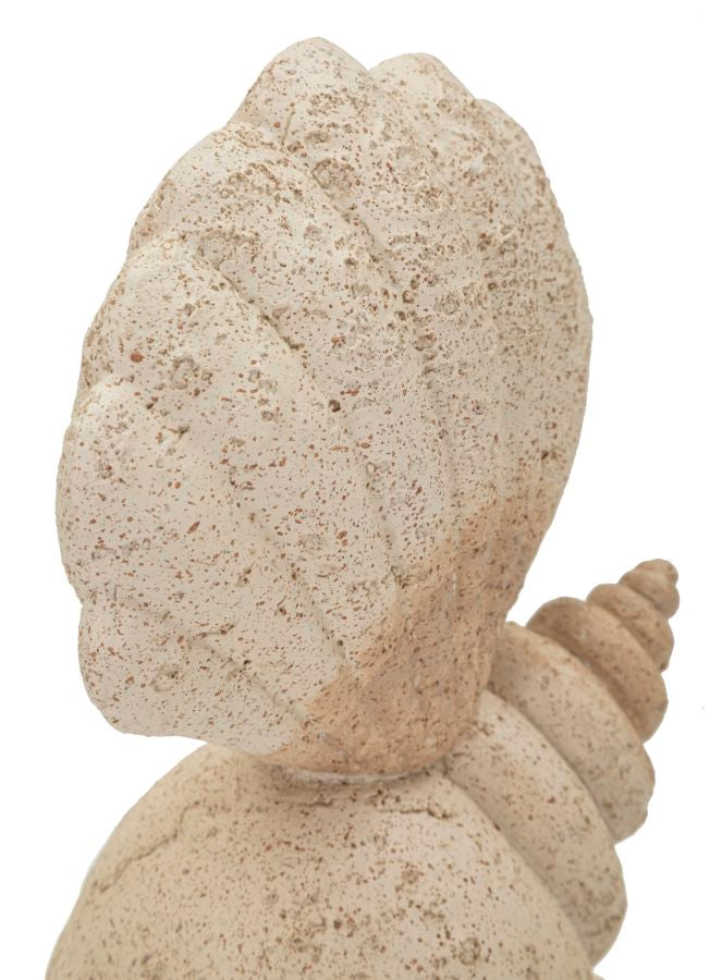 Muschel Deko Sand – Maritime Deko