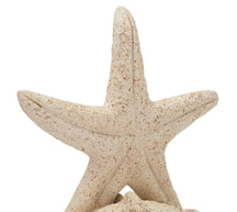 Seestern Deko Sand – Maritime Deko