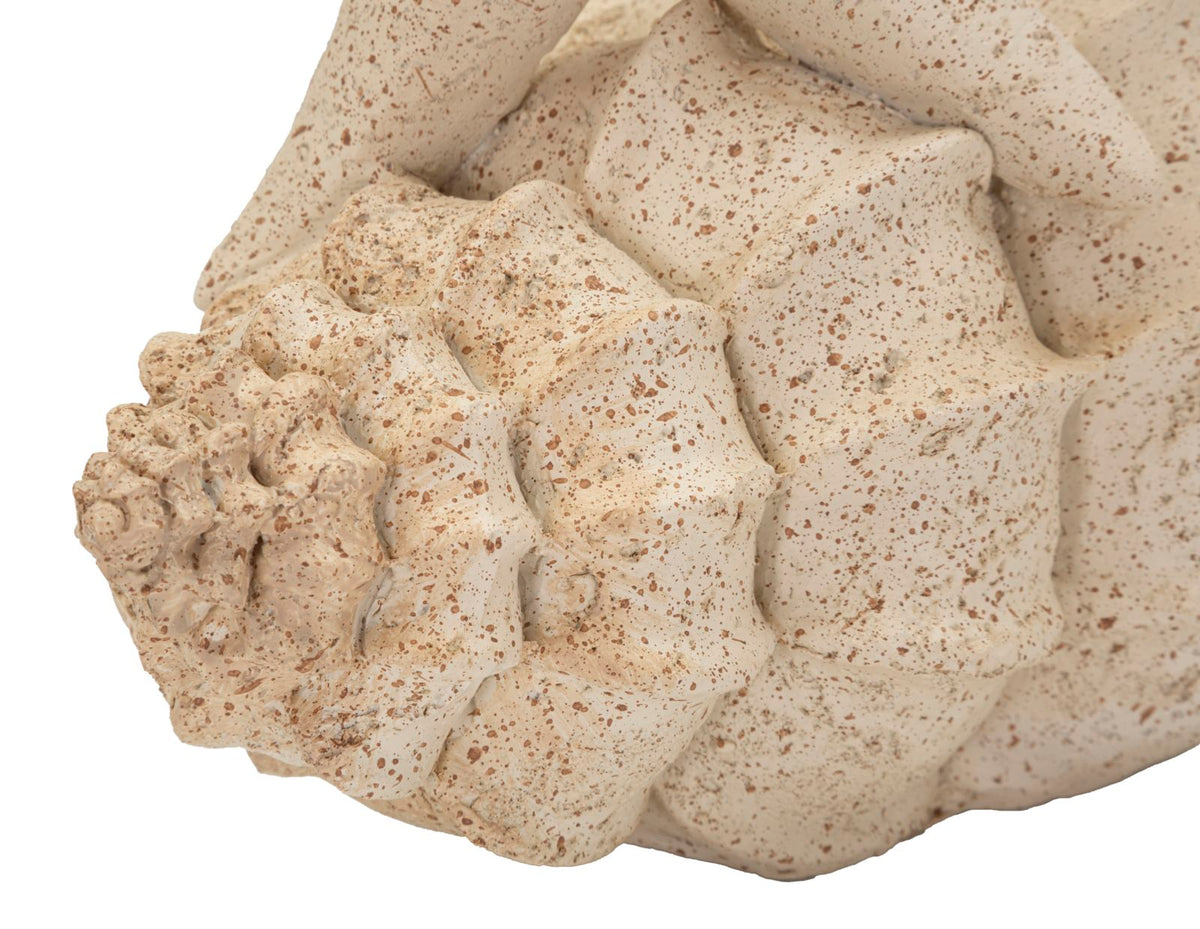 Seestern Deko Sand – Maritime Deko