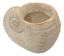 Blumenvase Muschel Beige 23 cm – Dekovase
