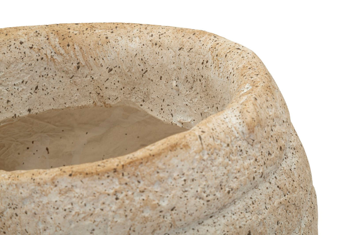 Blumenvase Muschel Beige 23 cm – Dekovase