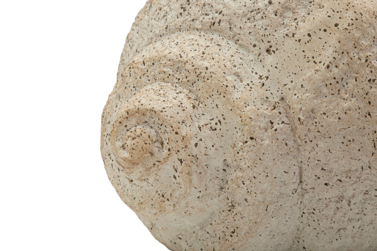 Blumenvase Muschel Beige 18 cm – Dekovase