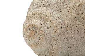 Blumenvase Muschel Beige 18 cm – Dekovase