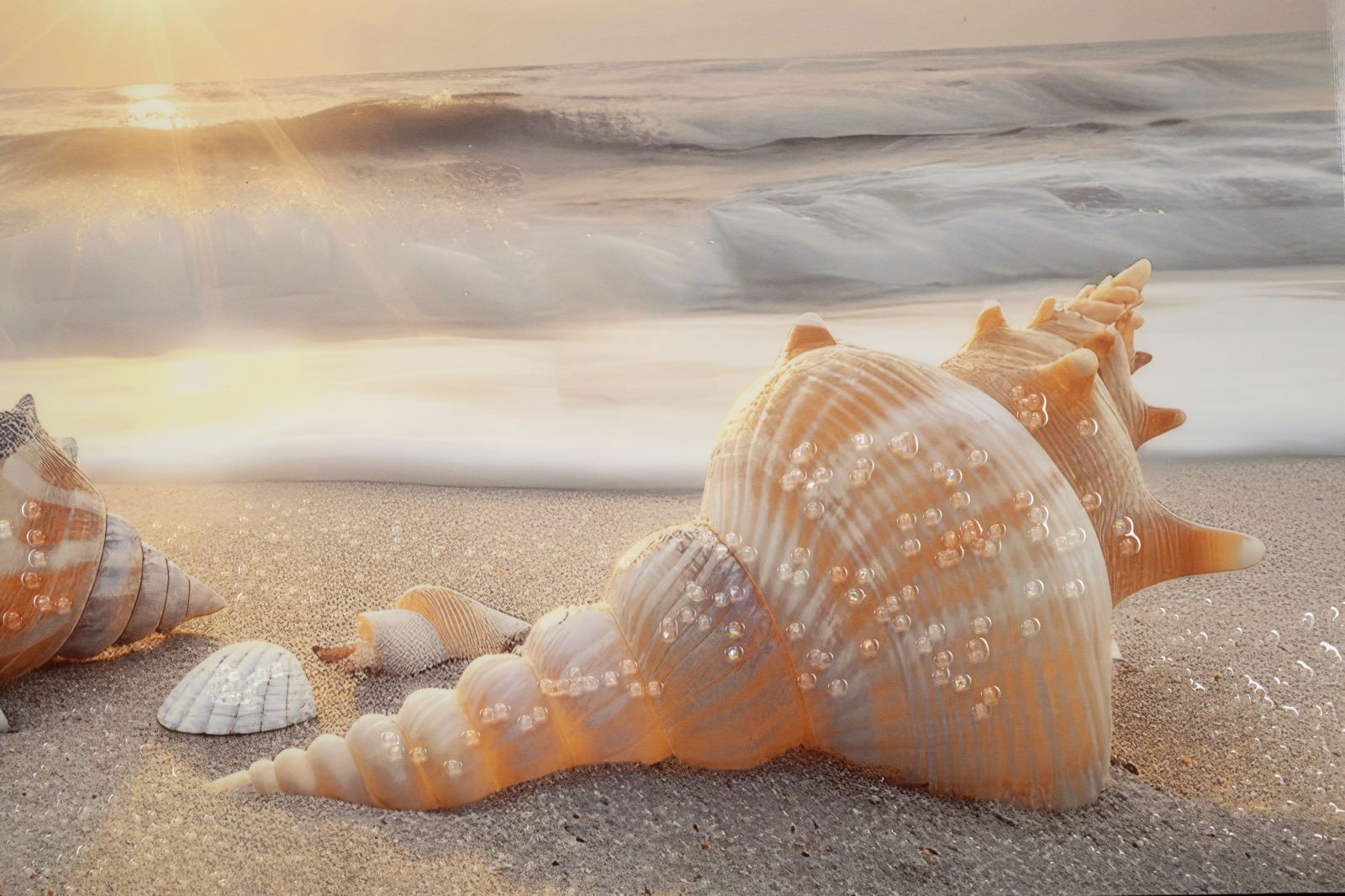 Wandbild Strand Meer 52 cm B – Leinwandbild Deko