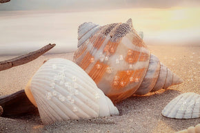 Wandbild Strand Meer 52 cm B – Leinwandbild Deko